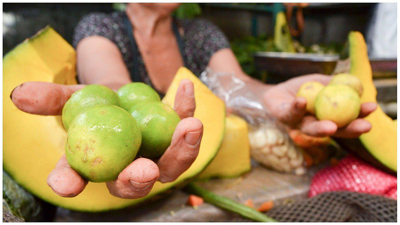 ​Minagri: precio del limón bajaría en tres semanas tras superar crisis de abastecimiento 