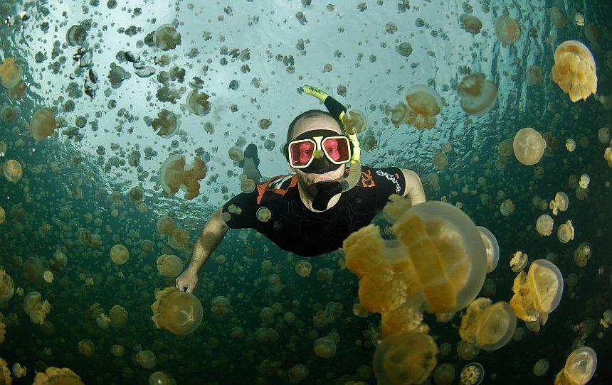 La sequía castiga al famoso Lago de las Medusas en Palau