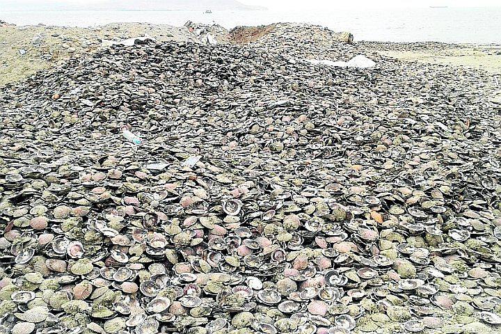 Atentado contra el medio ambiente en el distrito de Paracas