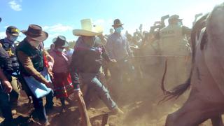 Apurímac: Pedro Castillo aró la tierra con látigo en mano durante actividad por II Reforma Agraria