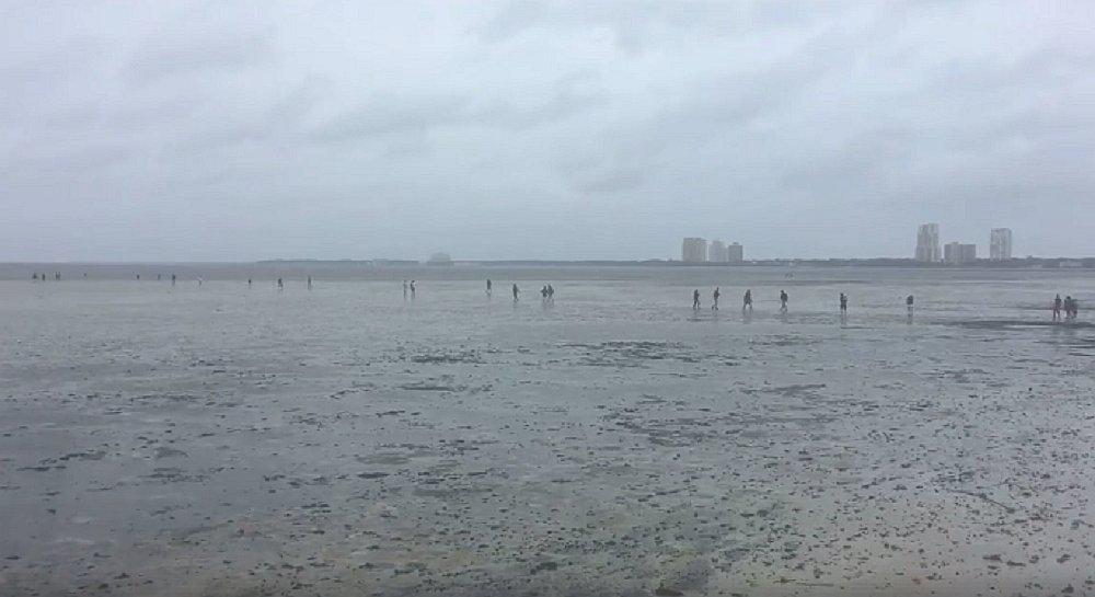 Facebook: Huracán Irma "secó" el agua de la bahía de Tampa (VIDEOS)
