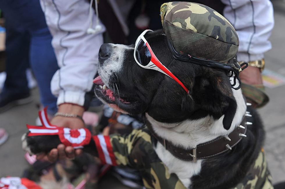 Culmina la Parada Militar por Fiestas Patrias (EN VIVO)