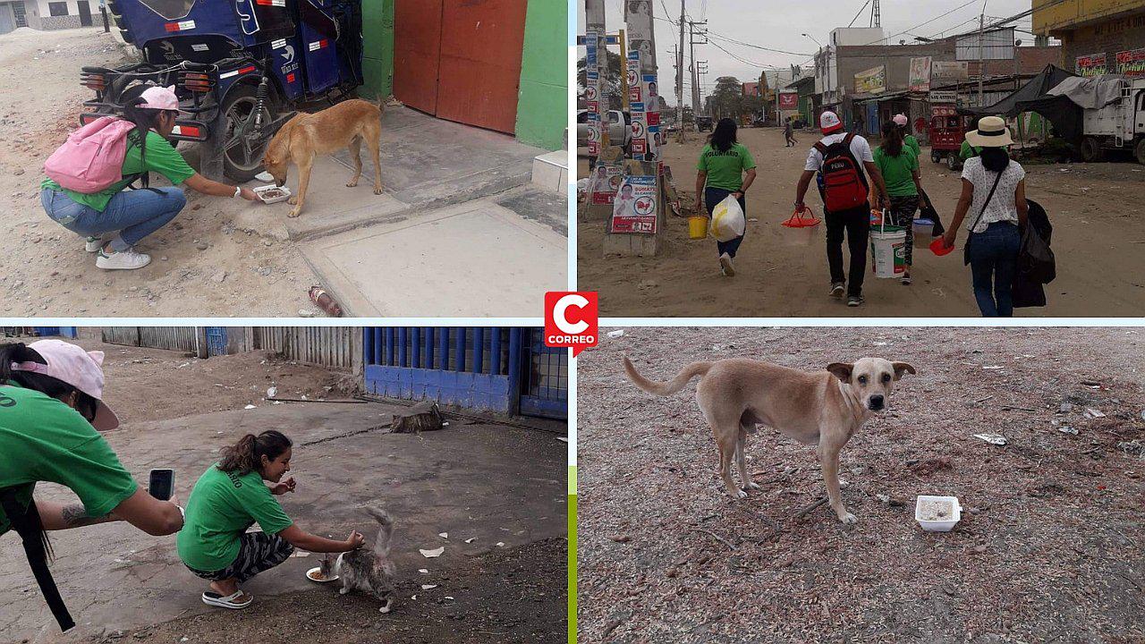 Perros y gatos callejeros se beneficiaron con chocolatada animalista 