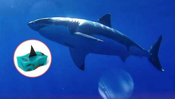 Este jabón ayuda a salvar a los tiburones de la extinción (FOTOS)