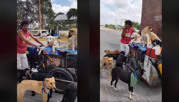 México: Conoce al hombre que viaja salvando perros callejeros (VIDEO)