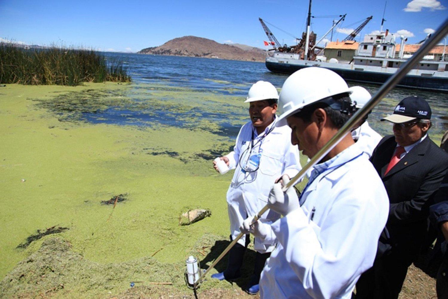 Puno: PELT proyecta crear centro de investigación para descontaminar lago