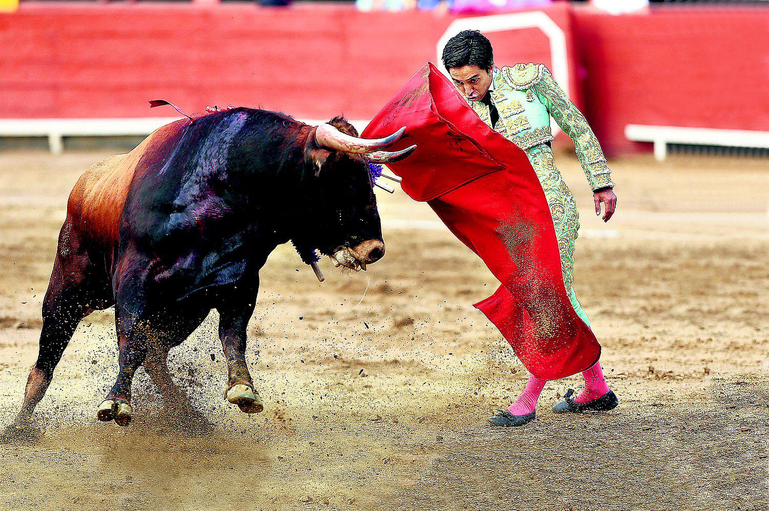 La tauromaquia: ¿una exhibición de arte o de tortura?