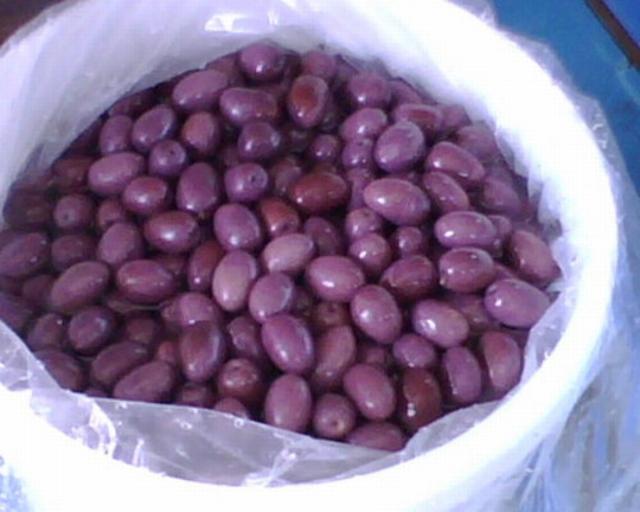 Denuncian que peruanos 'roban' denominación de aceituna chilena