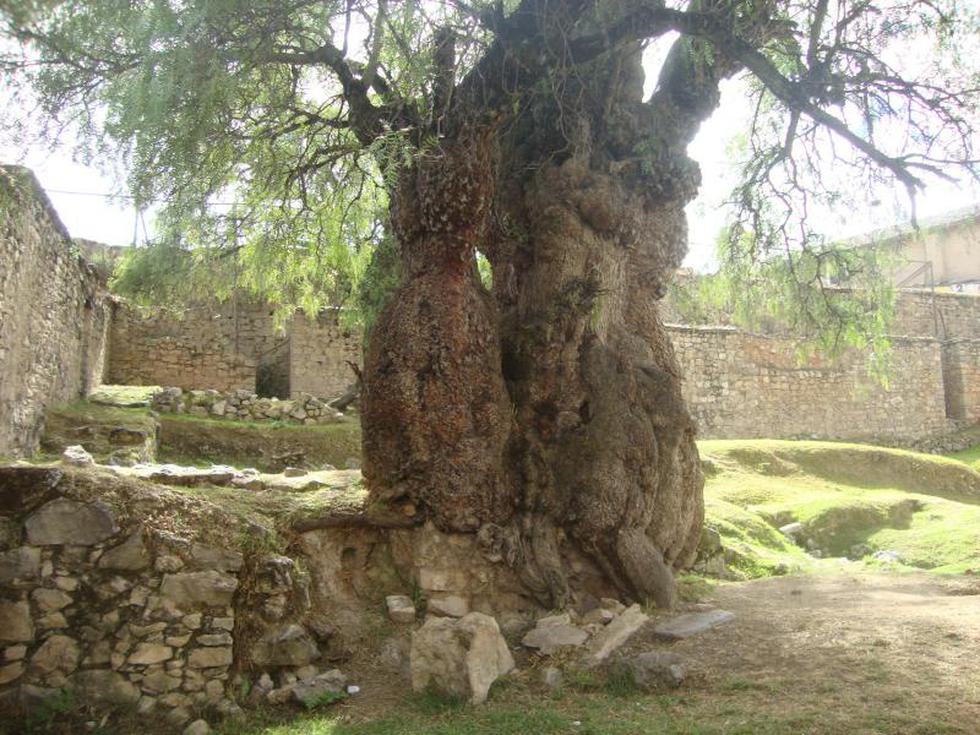 Derrumbes dañan sitio arqueológico Huarivilca (FOTOS)