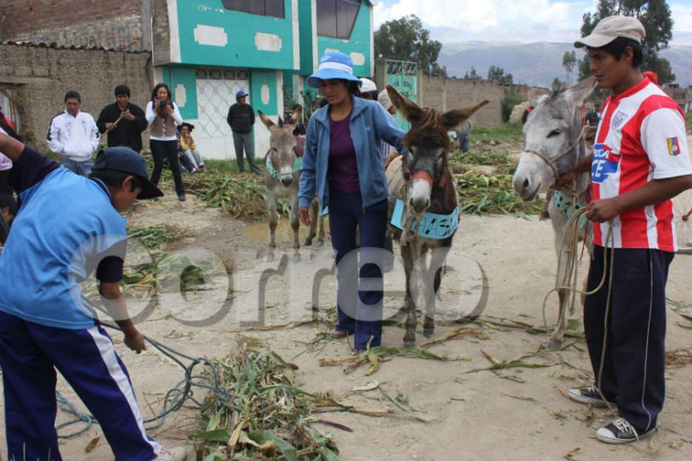 Vea la divertida carrera de burros de Semana Santa (Fotos)