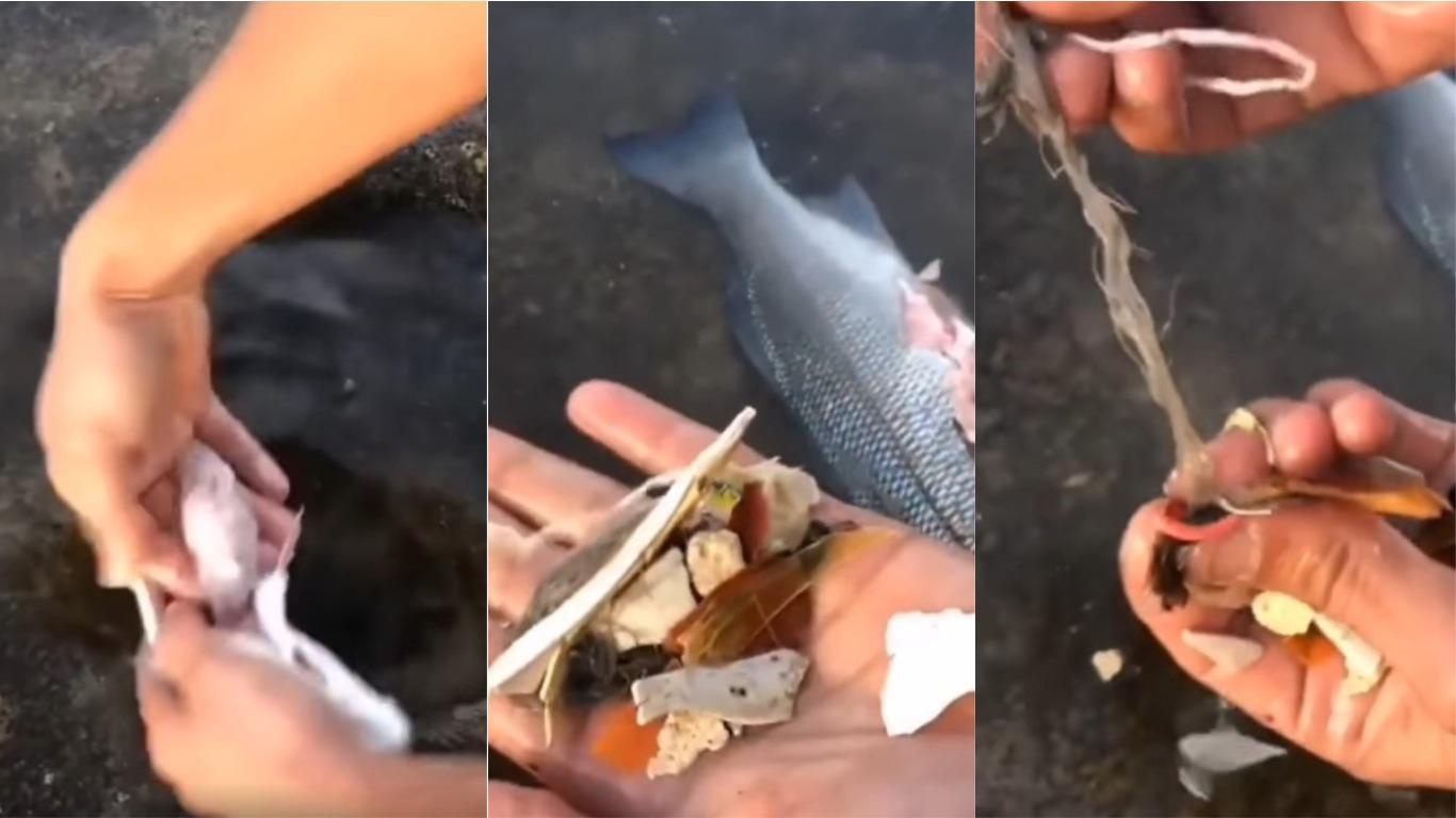 Foto: Captura de video