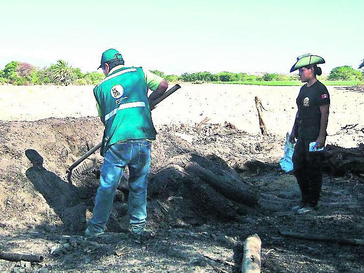 En hornos clandestinos elaboraban carbón