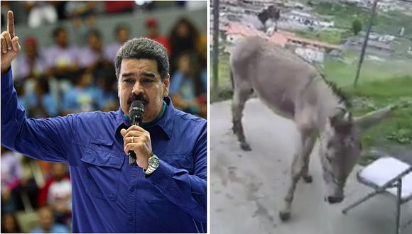 Bomberos podrían enfrentar hasta 20 años de prisión por llamar "burro" a Nicolás Maduro (VÍDEO)