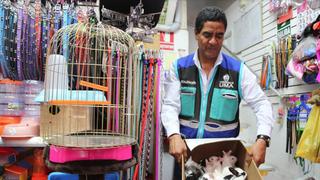 Rescatan más de 100 animales que iban a ser vendidos de manera ilegal en Mercado Central