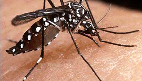 Piura en alerta amarilla por aumento de casos de dengue 