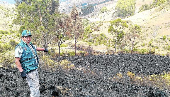 ​Incendios forestales devoran más de 3 mil hectáreas de terreno 