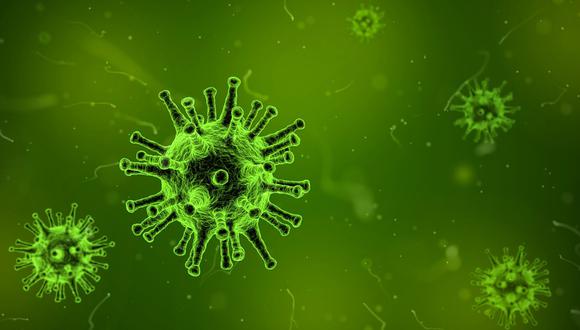 Las infecciones por COVID-19 solo implican una variante, pero en casos extremadamente raros pueden atacar dos al mismo tiempo. (Foto: Pixabay)