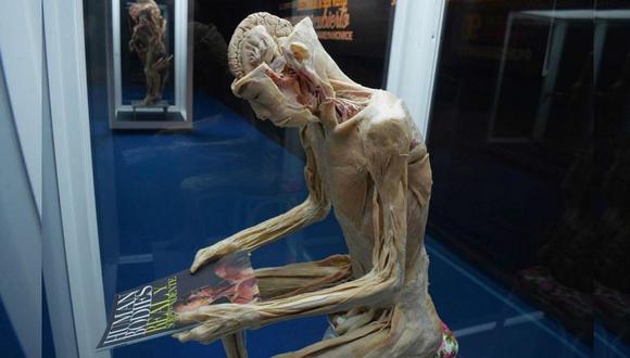 Exposición de cuerpos humanos reales llegará a Lima el próximo año (FOTOS)