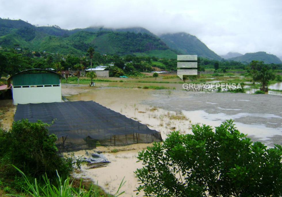 Desbordes e inundaciones no cesan en la Selva Central 