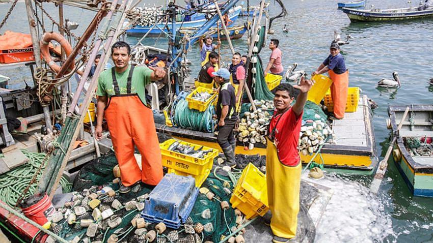 Pescadores  de Islay acatarán paro nacional indefinido