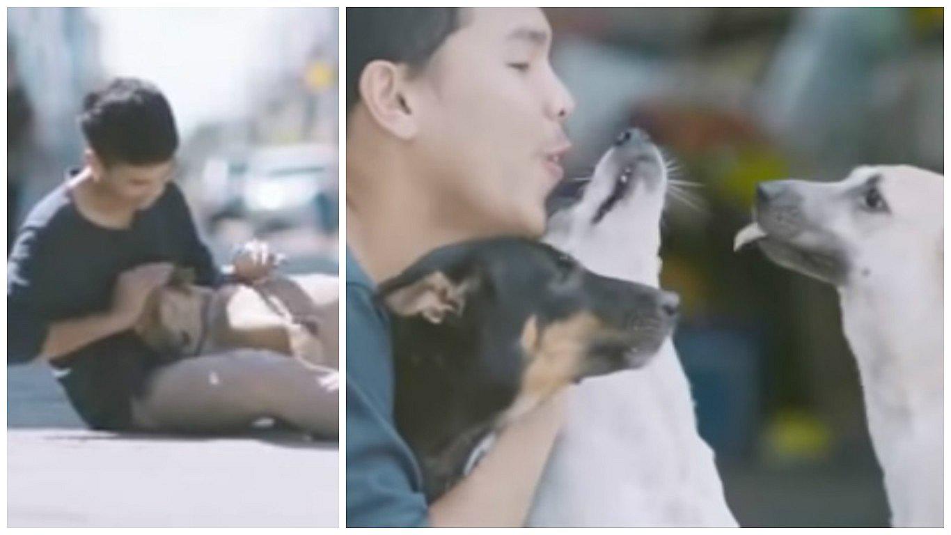 YouTube: Joven recorre Tailandia abrazando perros callejeros y ellos reaccionan así [VIDEO]