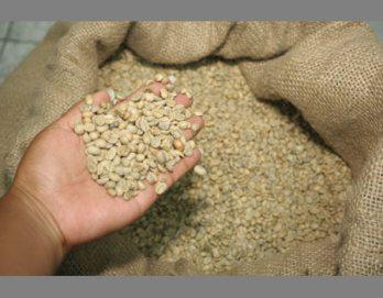 Ven proyectos de mármol y café