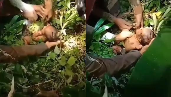 Impactante video: Bebé recién nacida fue abandonada en la selva 