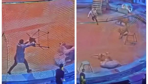 Tigre ataca a león en circo y pelea sorprende al público (VIDEO)