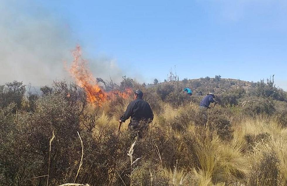 Incendio forestal entre Moquegua y Arequipa es incontrolable (VIDEO)