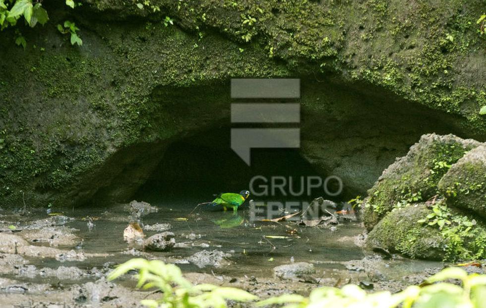 Satipeño capta imágenes  inéditas del derrame de petróleo  en el río Napo