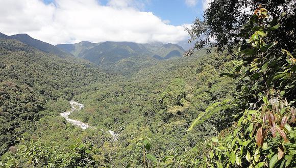 Aprueban creación de la Reserva de Biosfera Amazónica de Junín 