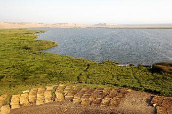 Turismo en la Albufera de Medio Mundo