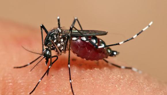 Vacuna experimental contra dengue logra eficacia de 60%