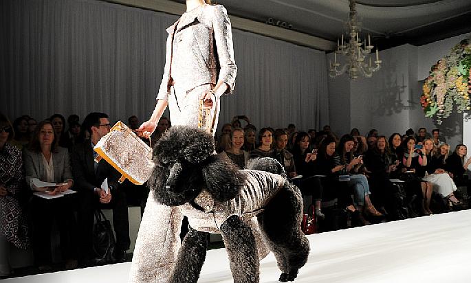 Trujillo: Gran Fashion Dog se realiza este miércoles