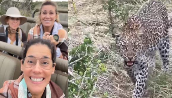 “Este leopardo vio a @almendra_gd y se la quería comer, literalmente", escribió Katia Condos en sus redes sociales. (Foto: Instagram @katiacondosseoane / @almendra_gd / @gianellaneyra_)