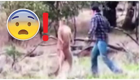 YouTube: polémica por hombre que ataca a canguro tras salvar a su perro (VIDEO)