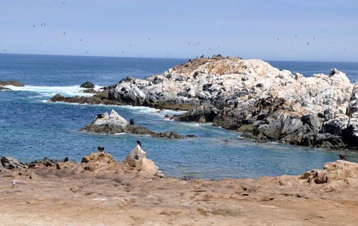 ​Roban guano de isla en pequeñas embarcaciones