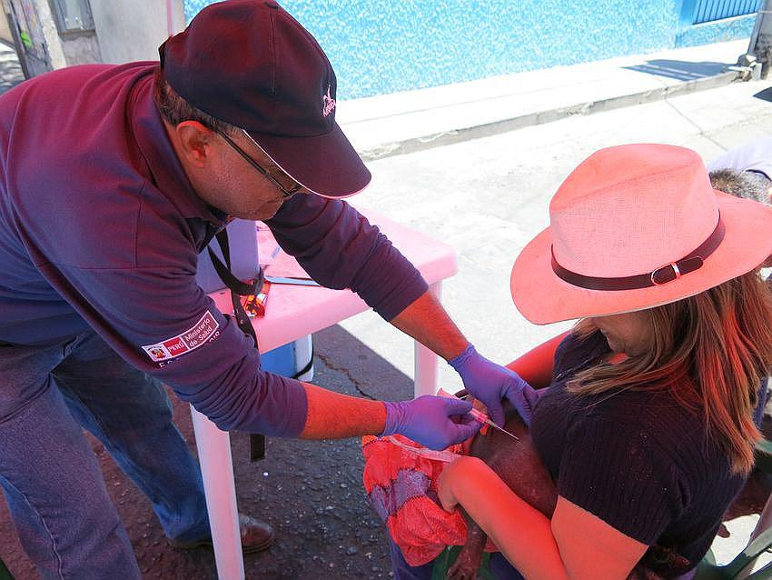 Vacunación canina este año se duplicará en Arequipa