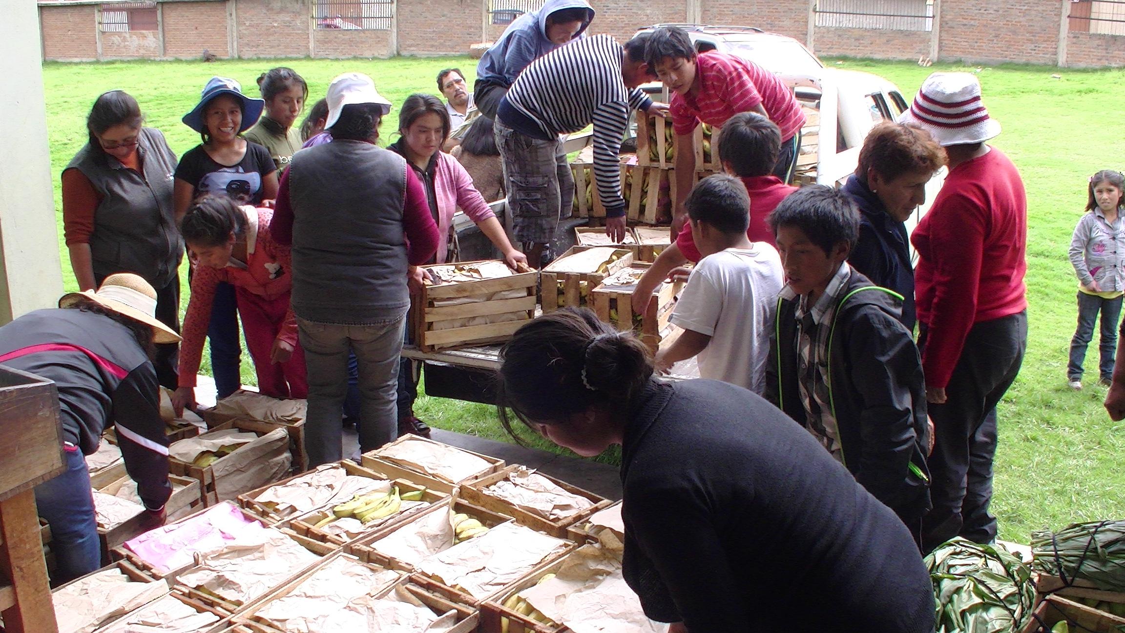 Sunat entrega dos toneladas de fruta  a niños de albergue 