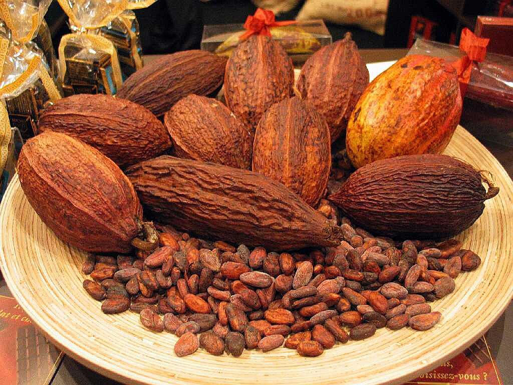 Junín exporta hasta 20 millones de soles en cacao y jengibre 