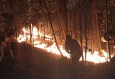 Incendios forestales han dañado 405 hectáreas en la región Áncash