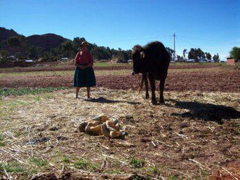 Dos centros poblados de Puno se anexan a Moquegua