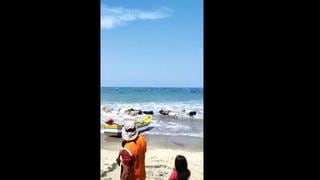 Tumbes: vacas sorprenden a bañistas al ingresar a nadar en playa de Zorritos (VIDEO)