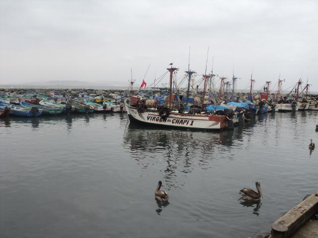 Pisco: Contraloria investiga casos de corrupción en PRODUCE  