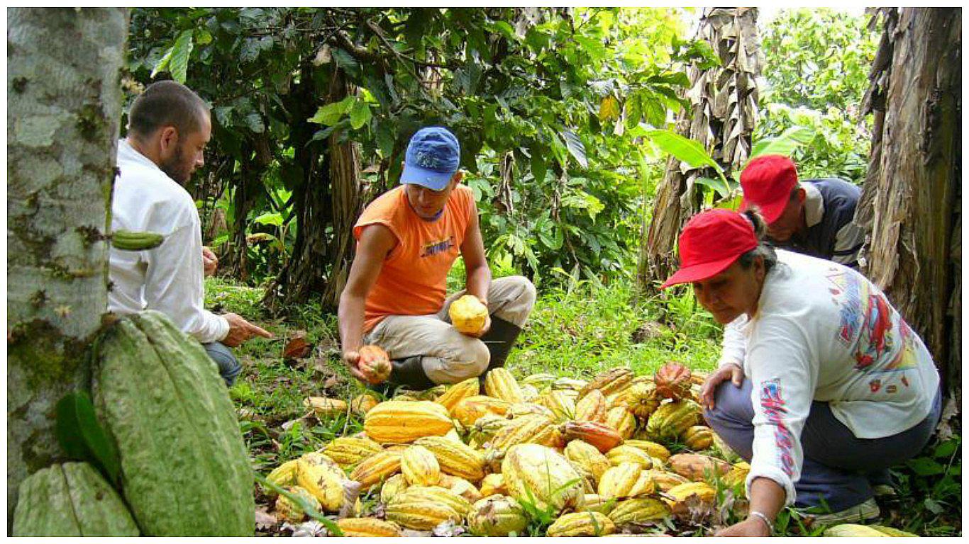 ExpoAmazónica generará negocios por S/ 50 millones