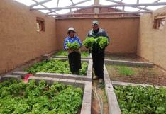 Agro Rural implementó 490 fitotoldos en 41 distritos de la región Puno