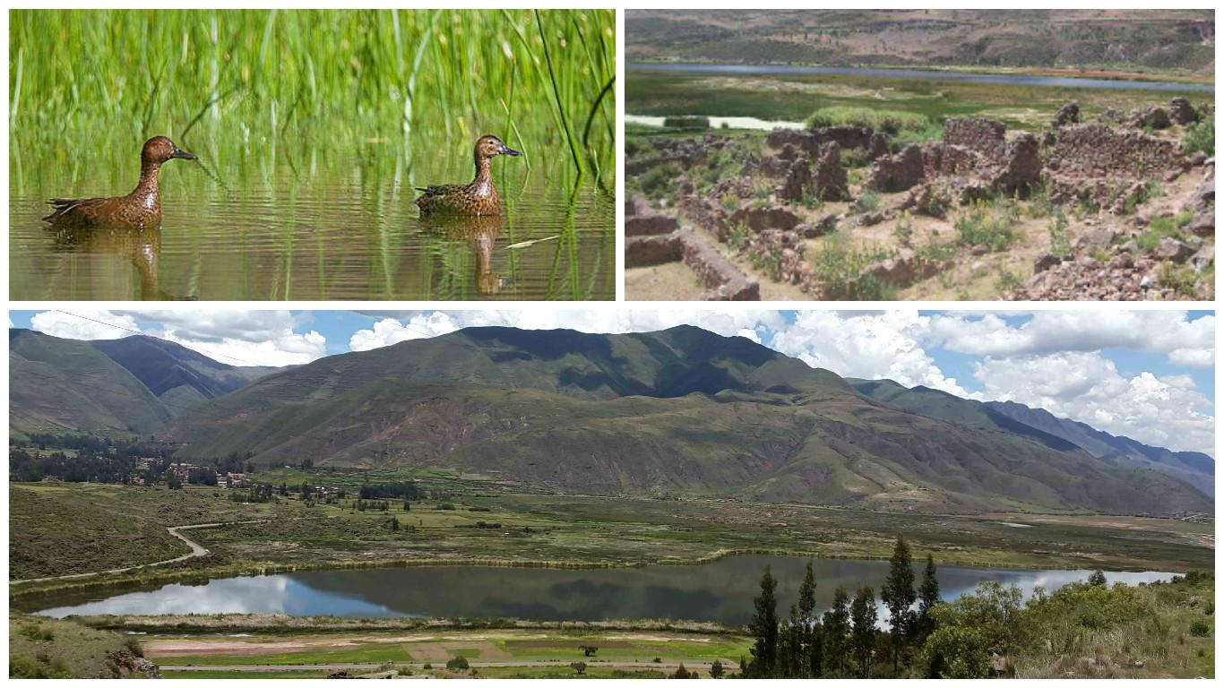 Crónicas en Cusco: 'Laguna de Huacarpay, espejo del tiempo'