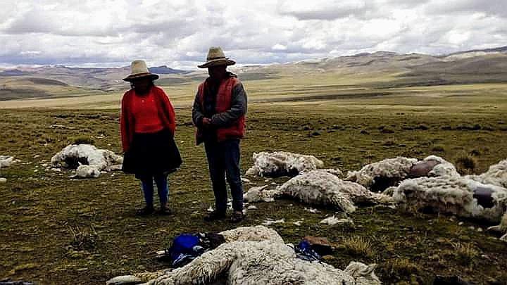 Empiezan las heladas y municipios deben ejecutar los planes de contingencia
