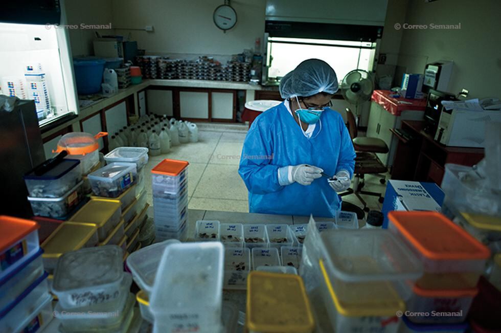 Paradero Final: crónica fotográfica sobre la Morgue de Lima