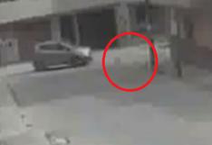 Hombre arrolla a perros solo para vengarse de su vecina (VIDEO)